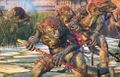 Chameleon Skinks TW2.jpg